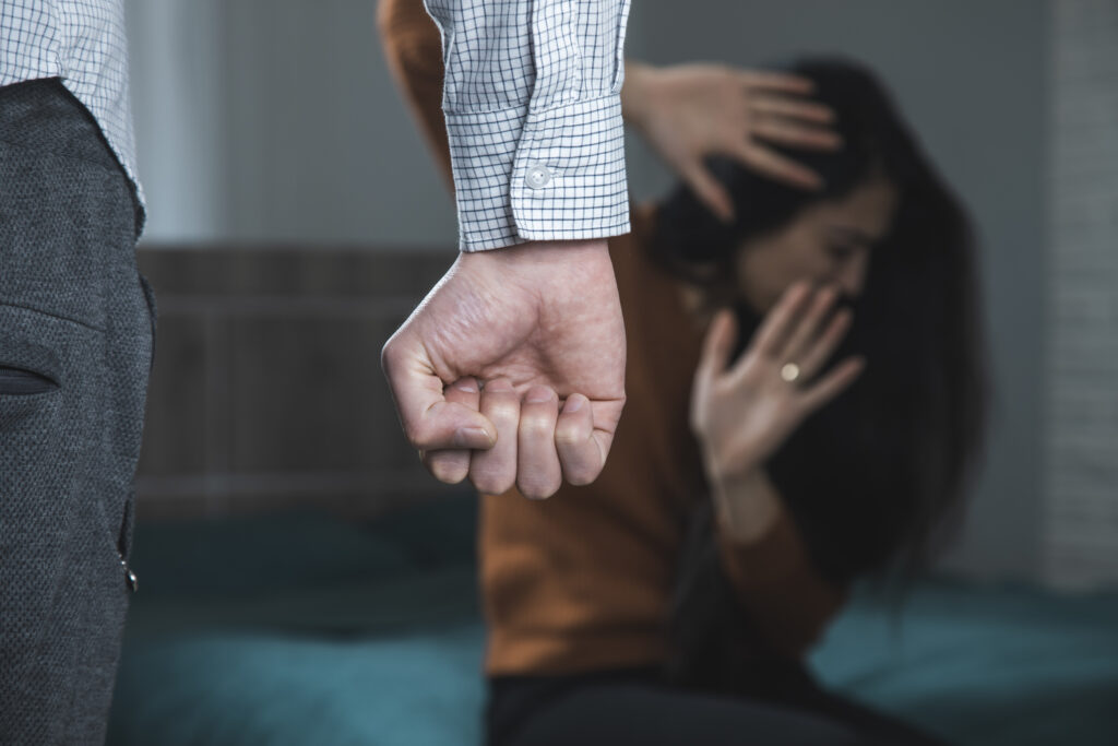 domestic violence attorney