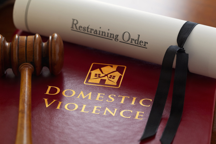 false allegations of domestic violence